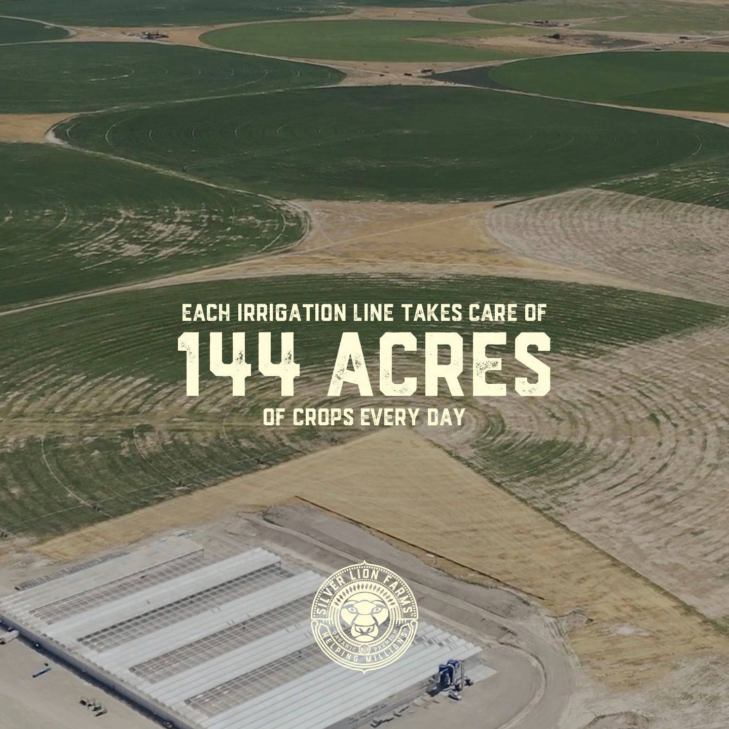 Aerial view of irrigated farmland and glasshouse structures at Silver Lion Farms in Nevada