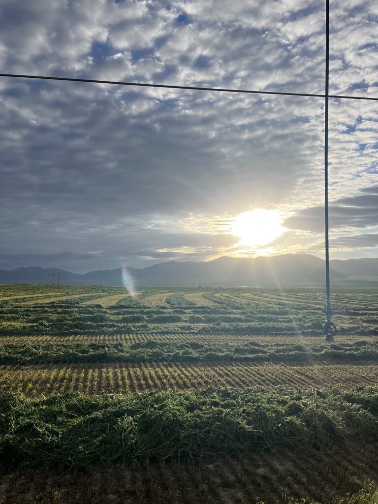 Sunrise over irrigated alfalfa fields at Silver Lion Farms in Nevada’s Great Basin