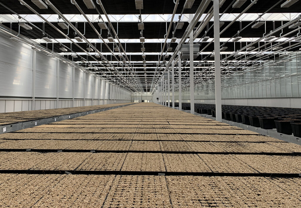 Interior view of the Silver Lion Farms glasshouse with cultivation tables and infrastructure systems