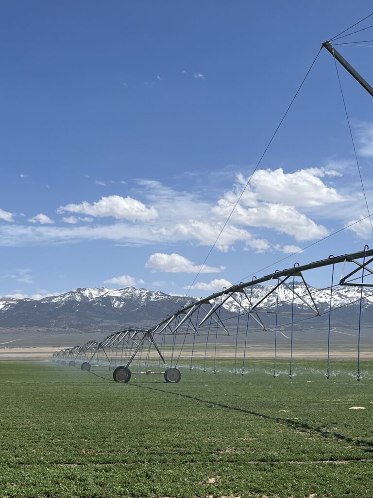 Center-pivot irrigation over an organic alfalfa field at Silver Lion Farms in Nevada